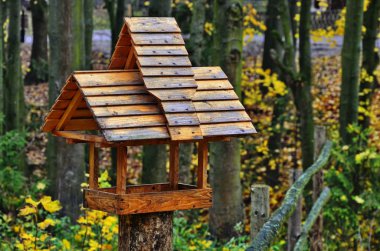 Büyük baştankara Parus Major üzerinde Besleyici, kış