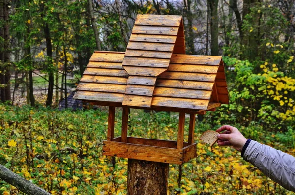 Bogatka Parus Major na podajnik o zimie — Zdjęcie stockowe