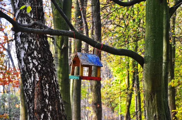 Grande tetta parus maggiore su alimentatore a inverno — Foto Stock