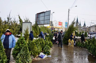 Lviv caddelerindeki ağaç pazarı.