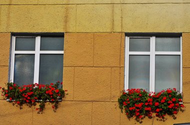 Pencerede kırmızı pelargonyum çiçekleri.