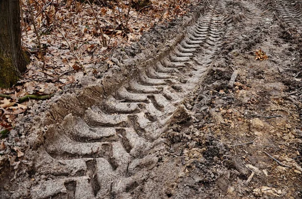 Traces of tractor tires in the sand — 스톡 사진