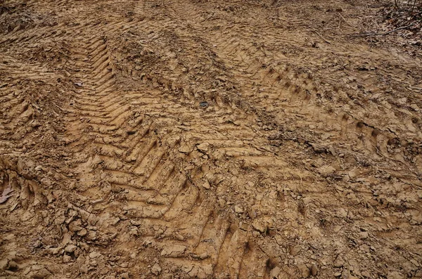 Traces of tractor tires in the sand — 스톡 사진