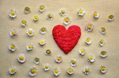 Kızıl Kalp, gerçek aşkın sembolü.