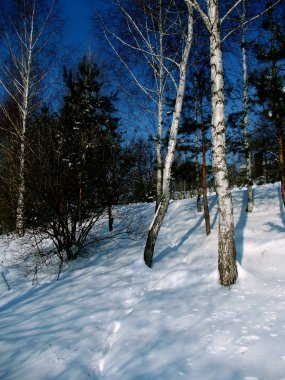 Önde kış soğuk günü.