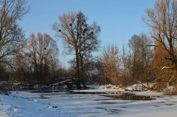 Kış günbatımı nehir manzarası.