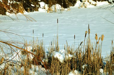 Önde kış soğuk günü.