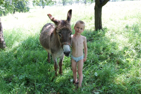 Niño y burro gris . — Foto de Stock