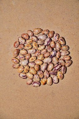 Toptan beyaz fasulyeler.