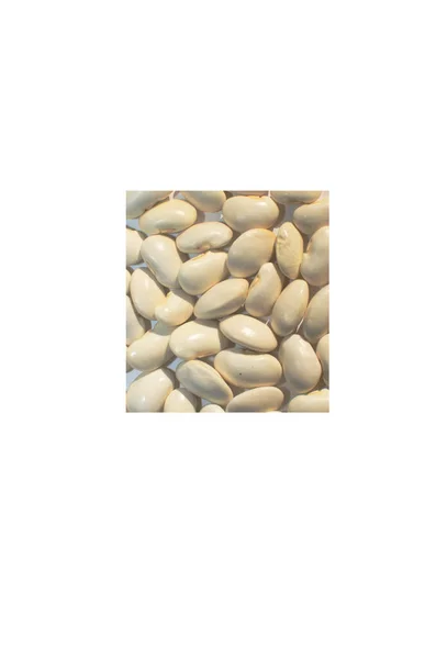 Feijão branco a granel — Fotografia de Stock