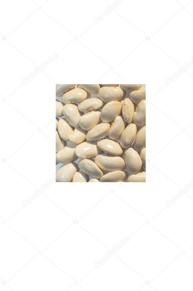 white beans in bulk