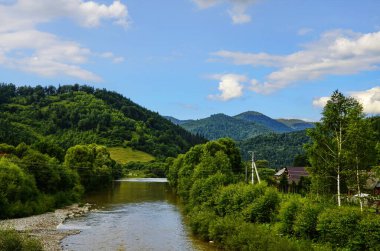 Dağ Ormanı nehir manzarası. Dağlardaki orman nehri. Dağ ormanı nehir manzarası