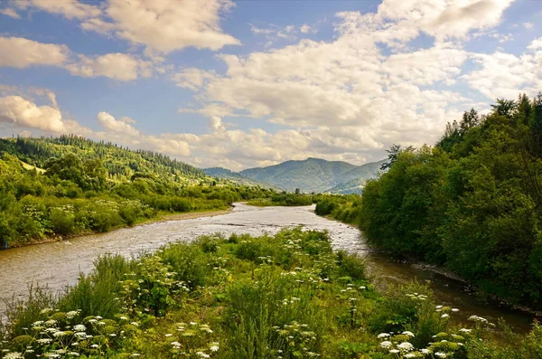 Górski Las Krajobraz Rzeki Rzeka Leśna Górach Widok Rzeki Mountain — Zdjęcie stockowe