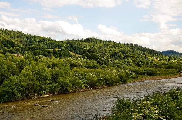 Górski Las Krajobraz Rzeki Rzeka Leśna Górach Widok Rzeki Mountain — Zdjęcie stockowe