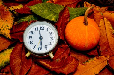Gün ışığı tasarrufu. Retro stil fotoğraf. Sonbahar yapraklarındaki klasik siyah çalar saat. Zaman değişimi soyut bir fotoğraf. Gün ışığı kaydetme süresi (DST)