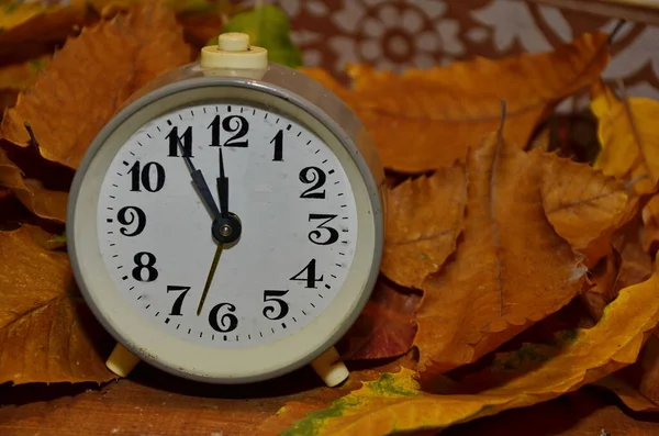 白昼节省时间 复古风格的照片 秋天树叶上的老式黑色闹钟 时间改变抽象的照片 节省日间时间 Dst — 图库照片