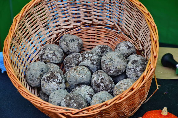 The form of hard cheese of a bloomy rind goat's milk, frost crust, treatment through special mold of the genus Penicillium, such as Penicillium camemberti. Typical soft texture and whitish color.