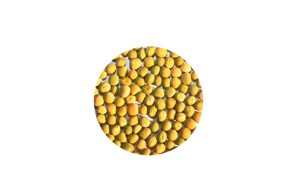 豆类植物蛋白的来源 — 图库照片