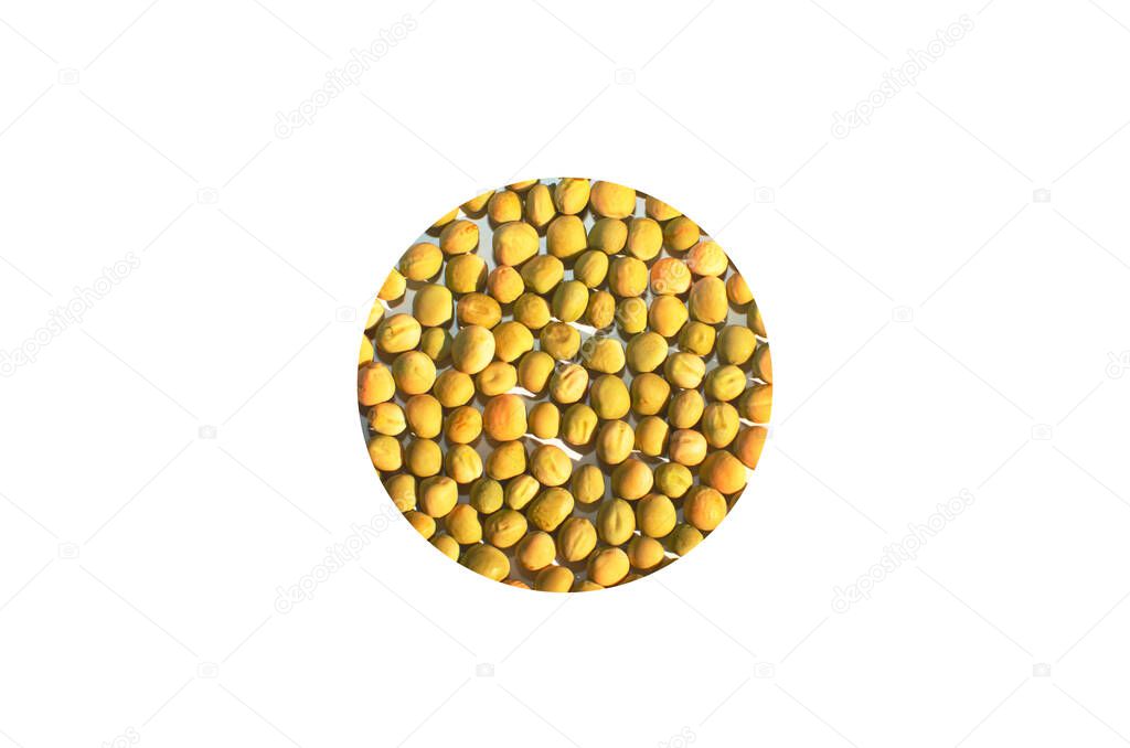 seeds bean source of vegetable protein