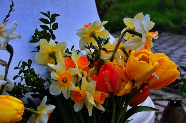 黄色のチューリップと水仙の春の花束 花瓶に新鮮な花 母の日カード 女性の日 誕生日プレゼントの背景 花グリーティングカード — ストック写真
