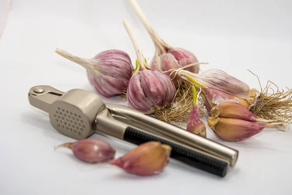 Garlic on a white background and a garlic press. Garlic grinding appliance.