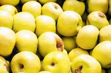 Kırmızı, arka plan olarak büyük miktarlarda sarı elmalar