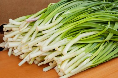 yeşil soğan ve dereotu