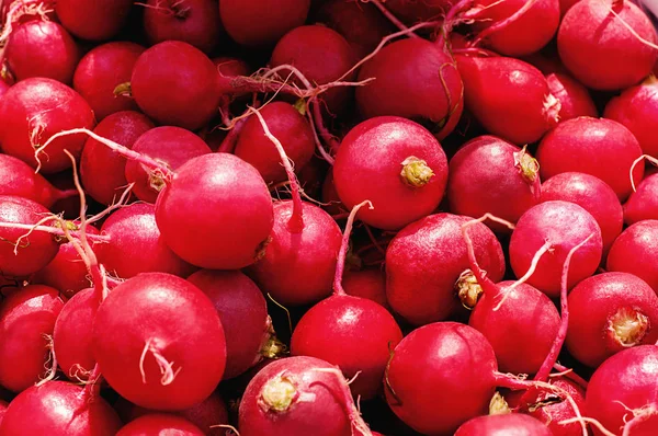 Red european radishes. Red radish. Red natural european radishes — Stock Photo, Image