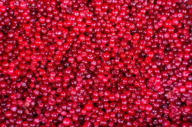 Kızılcık. Kızılcık arka plan. Kızılcık suyu. Gıda arka plan.