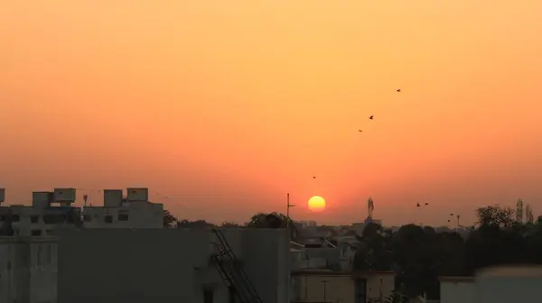 Ein Schöner Sonnenaufgang Halb Städtischem Gebiet Mit Fliegenden Vögeln — Stockfoto