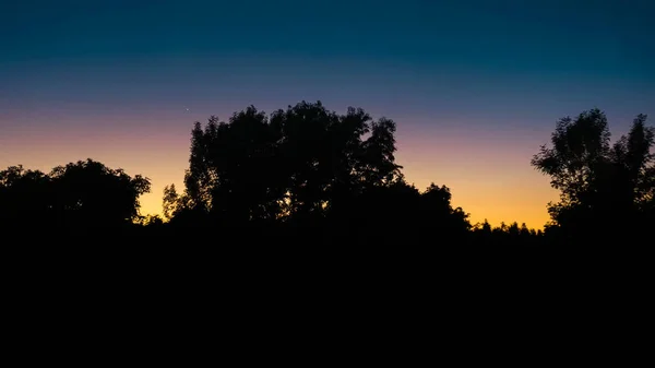 gün batımı ağaçların ardına gizlenerek, mavi ve turuncu gökyüzü görebilirsiniz
