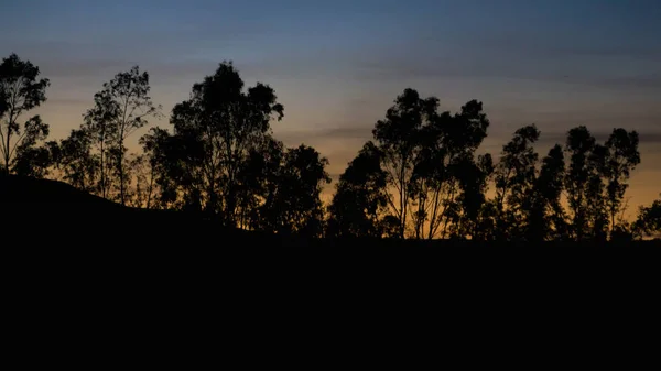 Ağaçların arkasındaki günbatımı, turuncu bir gökyüzü ve bazı bulutlar