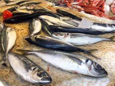 Taze deniz ürünleri ve balık