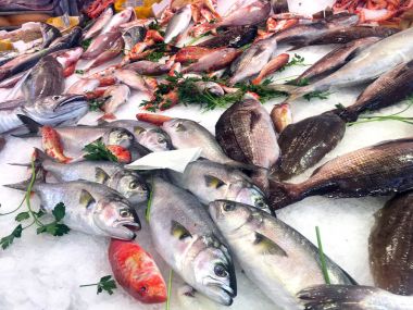 Taze deniz ürünleri ve balık