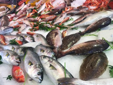 Taze deniz ürünleri ve balık
