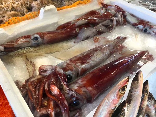 Frutos do mar frescos e peixes — Fotografia de Stock