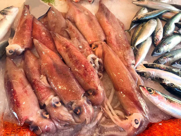 Pesce e frutti di mare freschi — Foto Stock