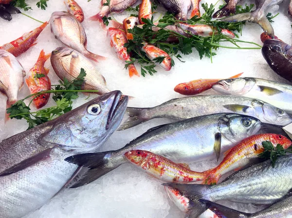 新鮮な魚介類と魚 — ストック写真