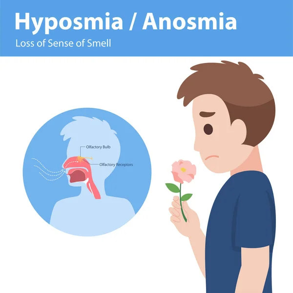 Hyposmia Anosmia Förlust Luktsinnet Info Grafiska Element Tecknen Koronavirus Symtom — Stock vektor