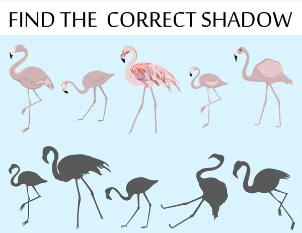 Find Correct Shadow Preschool Kindergarten Worksheet Flamingo Vector Illustration — Stock Vector
