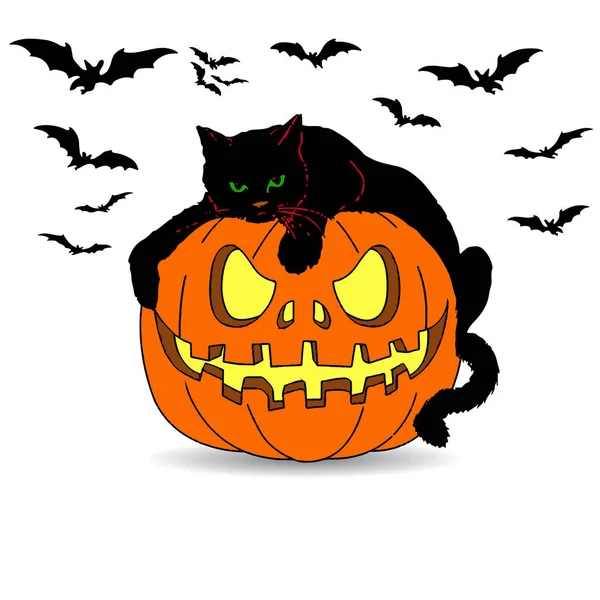 Holiday Halloween. Black cat lies on a pumpkin, cartoon on a whi