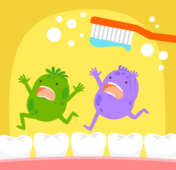 Tooth germs and toothbrush Stock Illustration