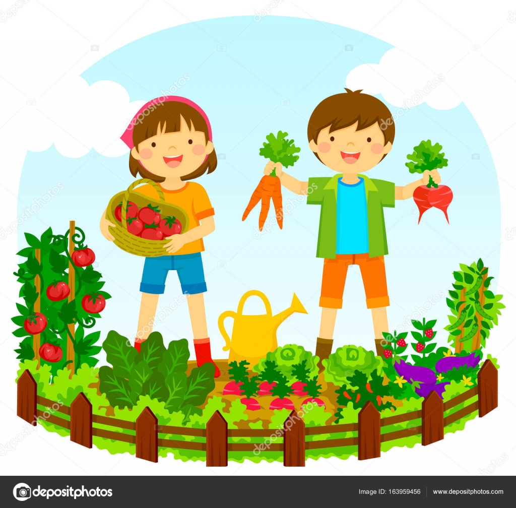 kids in a vegetable garden — Stock Vector © ayeletkeshet 163959456
