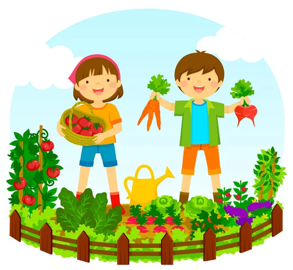 야채 정원에서 아이 들 — 스톡 벡터