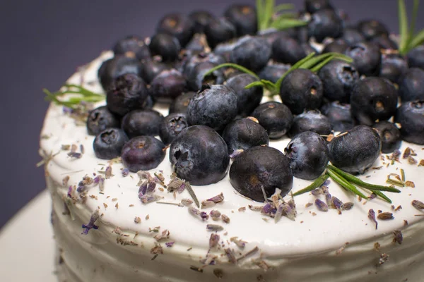 Small Cake Bilberry Sweets — Stock Photo, Image