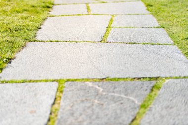 Çimenlerin üzerinde taş yol