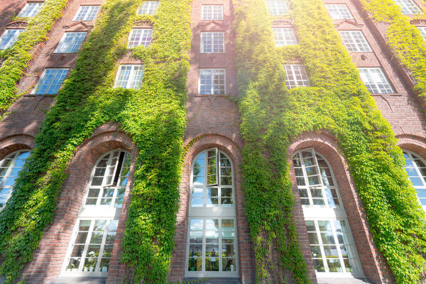 Wall of city hall (stadshuset) building covered by green in Stockholm, Sweden, Scandinavia, Europe