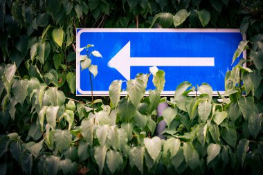 Ok yol işaret ağaç arka planda