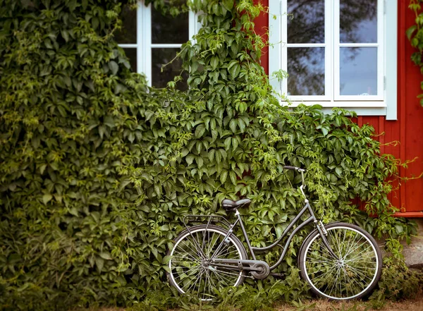 Bicicleta con verde y casa en el fondo — Foto de Stock