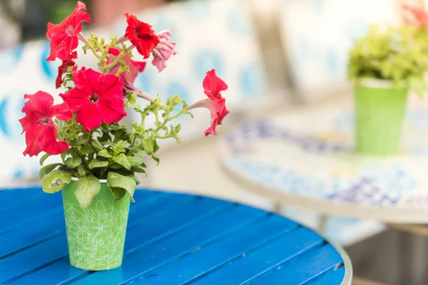 Blomkruka på bord i café — Stockfoto
